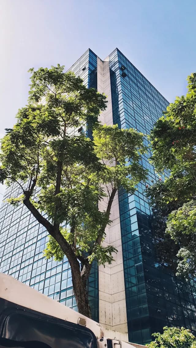 Préstamo Promotor y Financiación Empresarial