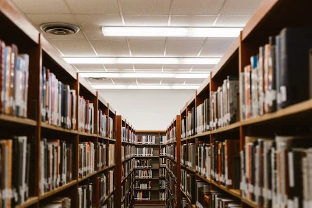 Educación y Formación